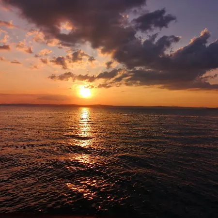 Bed & Breakfast Dalma Panzio 4*